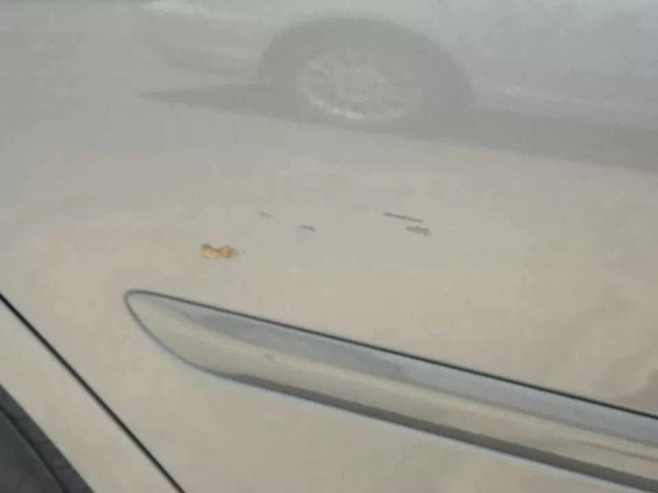 2002 2003 2004 2005 2006 Toyota Camry