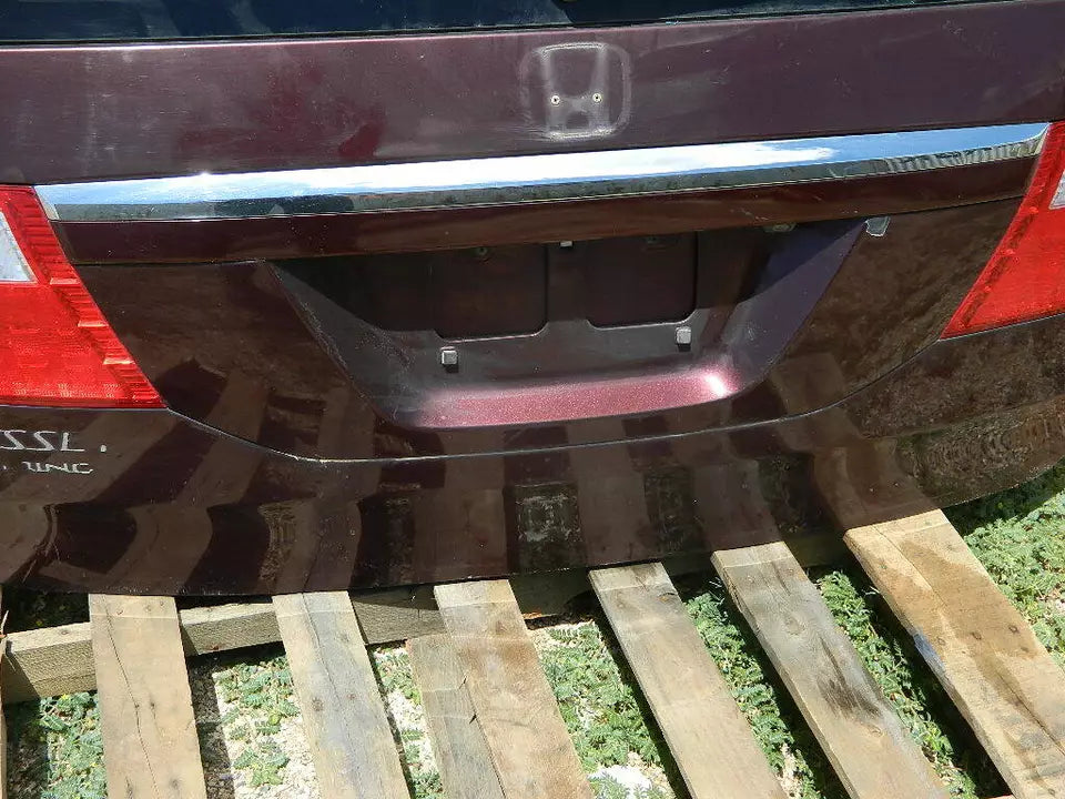 2005-2007 HONDA ODYSSEY TAILGATE TAIL GATE TRUNK LID HATCH - W/CAMERA
