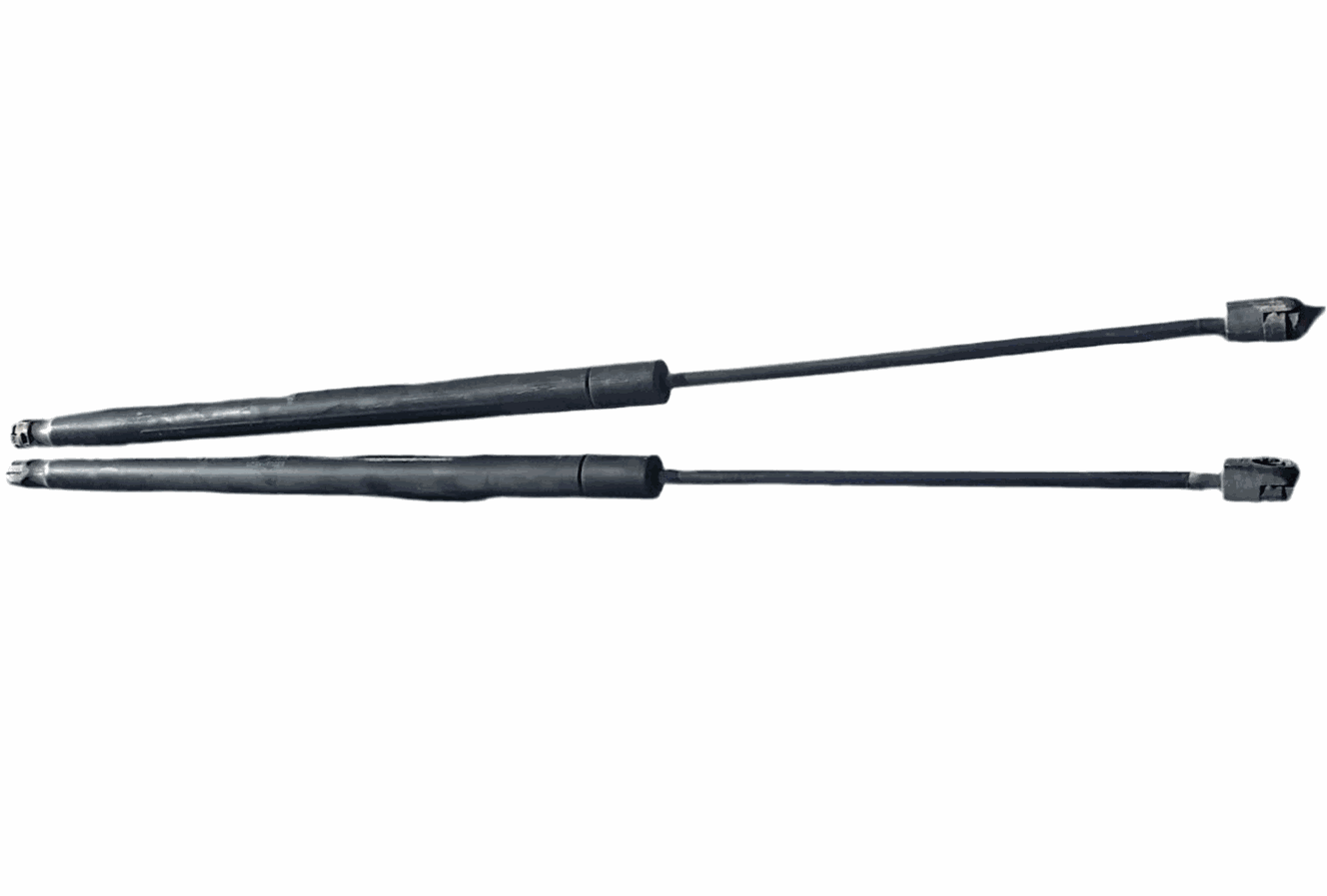 Toyota Sienna tailgate