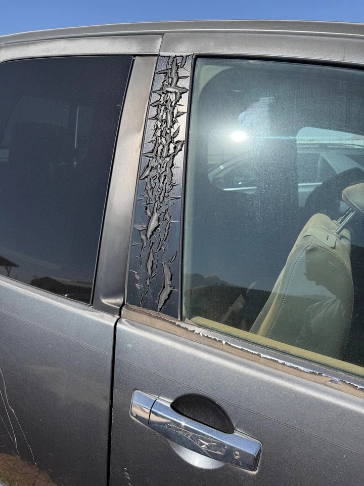 04 05 06 07 NISSAN TITAN FRONT & REAR RIGHT RH SIDE DOORS DOOR SET(2 DOORS)